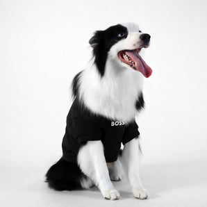 Dog Essentials Short Sleeve Crewneck