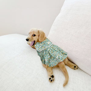 Dog Floral Bubble Dress