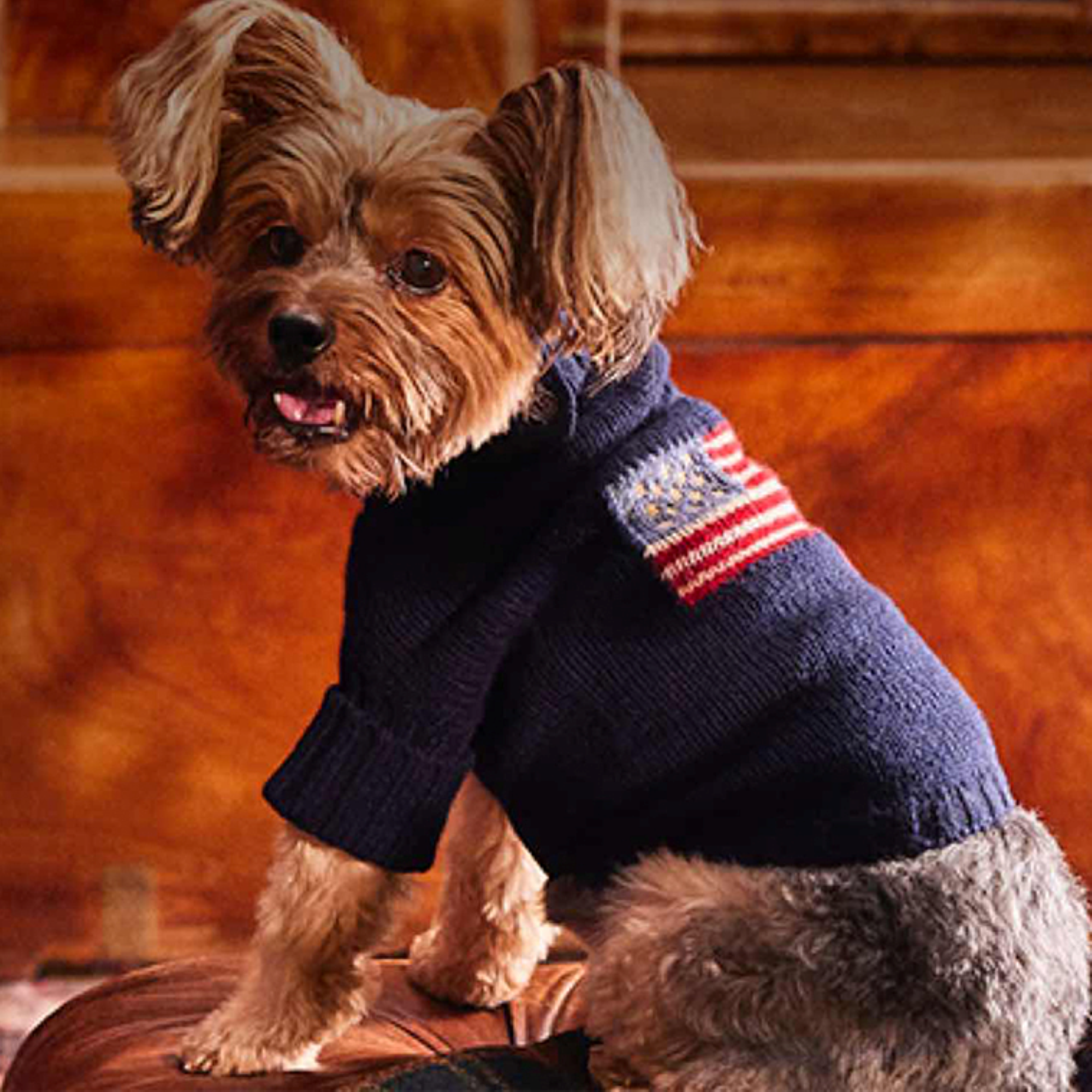 Kanine Group Launches Dog Apparel, Accessories and Home Products With Boss Dog  Accessories, Warner Brothers' DC League of Super-Pets and Kanine Brands