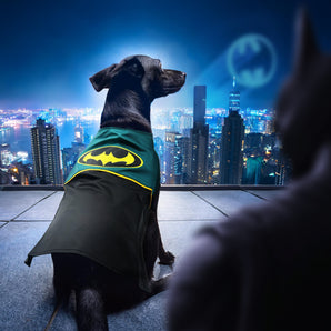 Batman dog clothes best sale