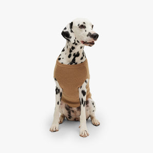 Dog Logo Sweater