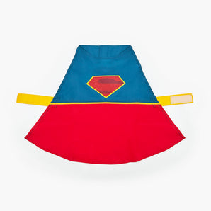 Superman Dog Costume (2024 Edition)