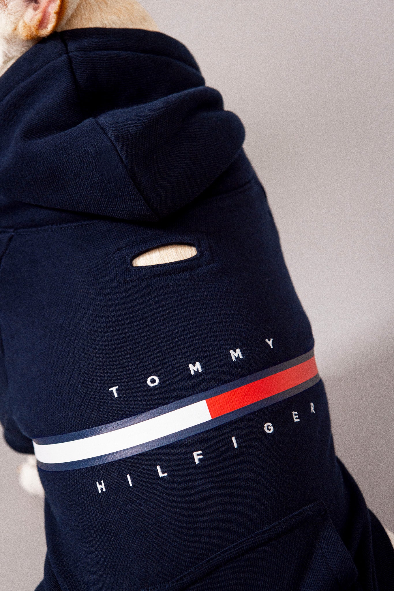 Tommy Hilfiger Color-Blocked Shirt Sweat Kanine –