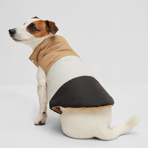 BOSS Dog Reversible Puffer Jacket